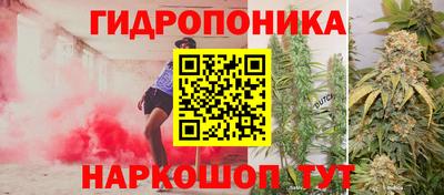 Альфа ПВП Новозыбков