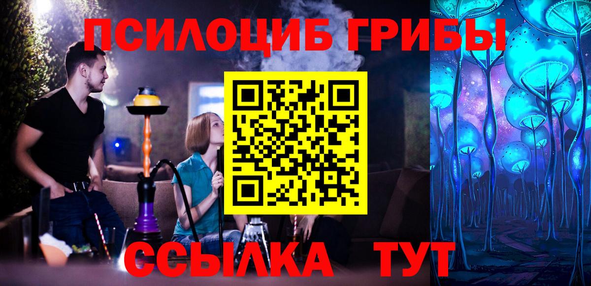 Дальнегорск  Псилоцибиновые грибы Cubensis  Вход с VPN 